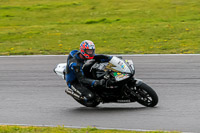 PJ-Motorsport-2019;anglesey-no-limits-trackday;anglesey-photographs;anglesey-trackday-photographs;enduro-digital-images;event-digital-images;eventdigitalimages;no-limits-trackdays;peter-wileman-photography;racing-digital-images;trac-mon;trackday-digital-images;trackday-photos;ty-croes